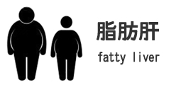 脂肪肝