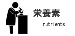 栄養素について